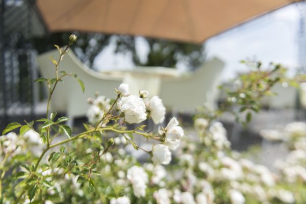 Le Funi - Cassonay (Cossonay)